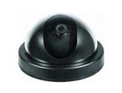 ��ɫ����z��C