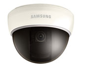 8.0mm���������͔z��C