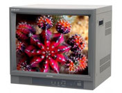 �ʯ���a��ɫ�Oҕ��