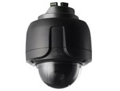 �W�j���͔z��C